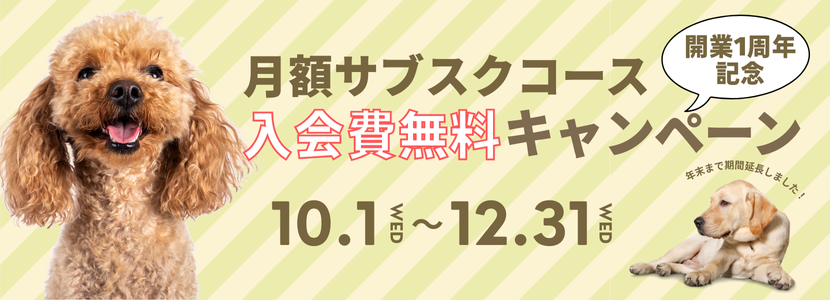 月額サブスクキャンペーン